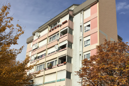 Annemasse 720 logements