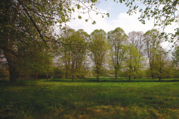 Réhabilitation du château