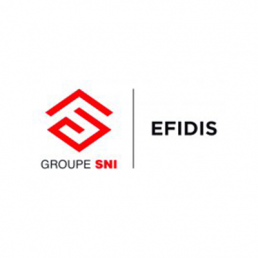 Efidis